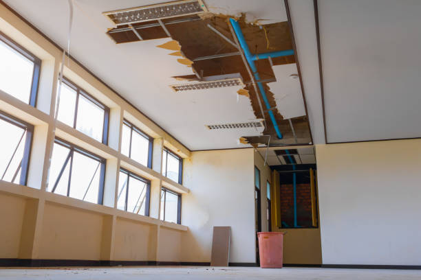 Best Basement water damage restoration  in Tehachapi, CA