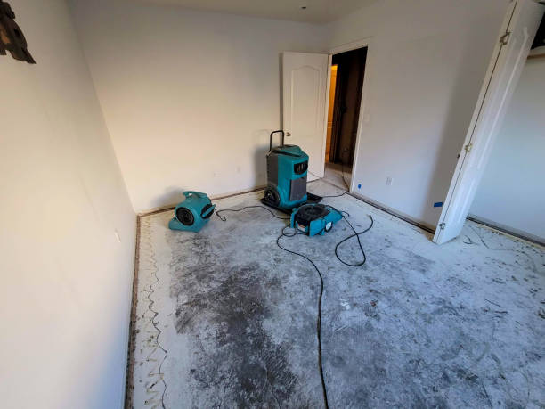 Local water damage restoration in Tehachapi, CA