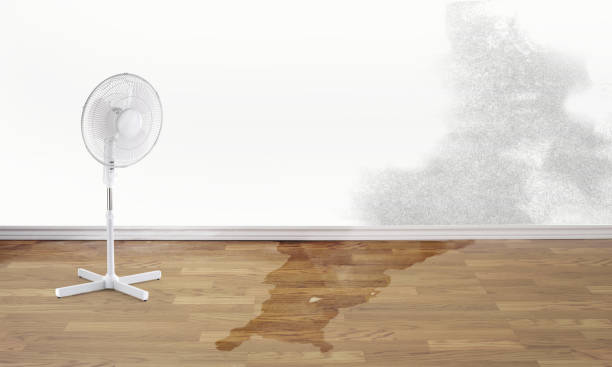 Water damage restoration mold remediation in Tehachapi, CA
