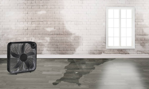 Best Flood restoration services  in Tehachapi, CA