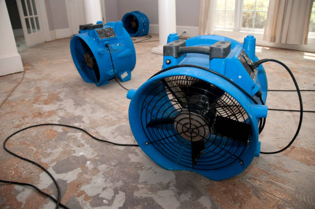 Best Local water damage restoration  in Tehachapi, CA